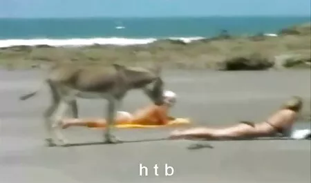 La chienne punie film français x gratuit avec de la fourrure et de la ceinture sur la deuxième partie