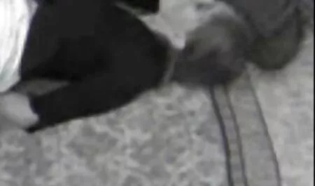 Je suis avec ma femme. regarder porno en ligne