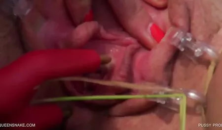 Un chaton a une beauté nette et site film porno gratuit ressemble à des chatons.